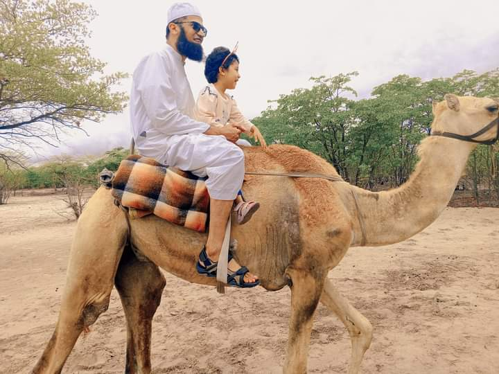 Experience the Magic of Camel Riding 🐪✨